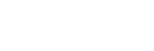 Napa Valley Insider Logo